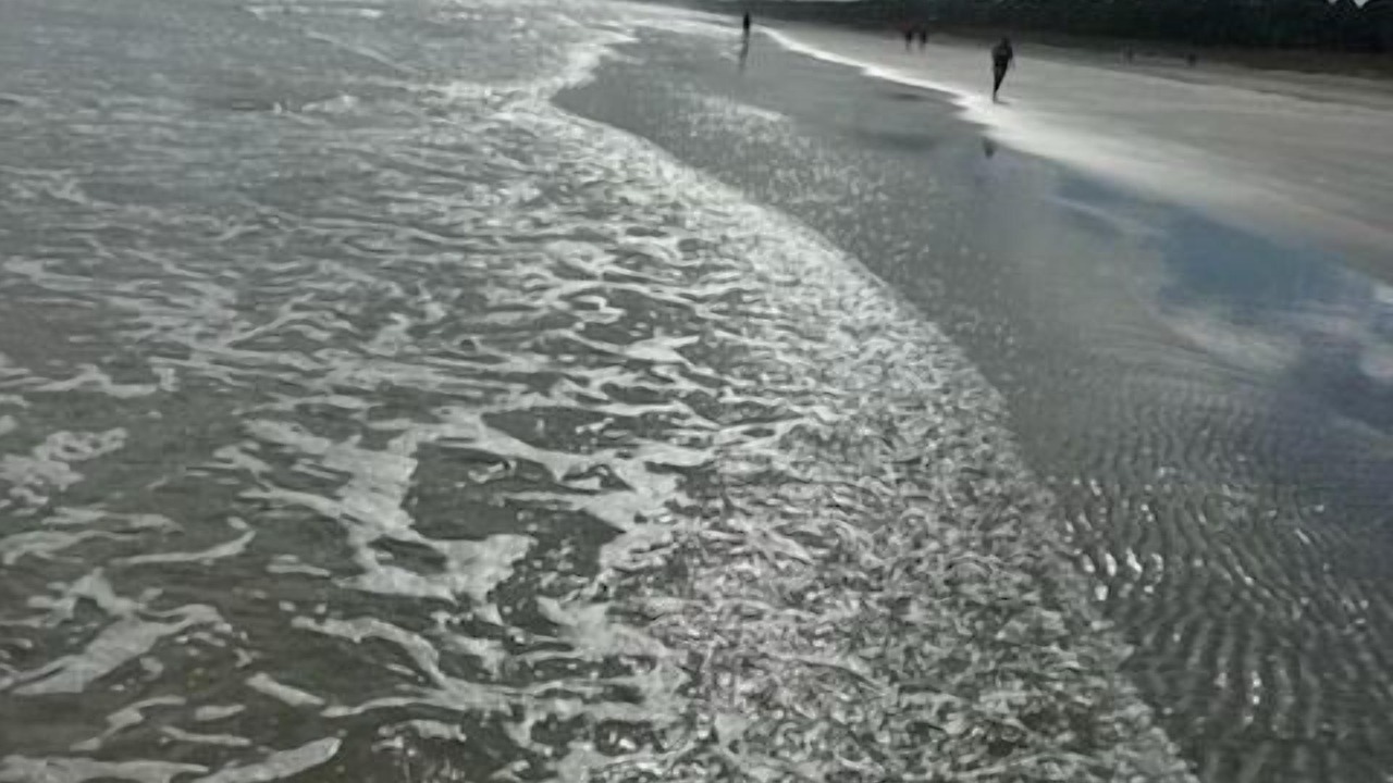 Photo of Others in Hilton Head Island