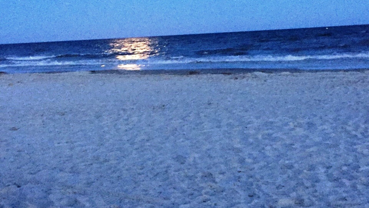 Photo of Others in Hilton Head Island