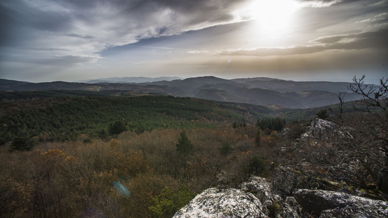 Photo of Outdoor in Chateldon