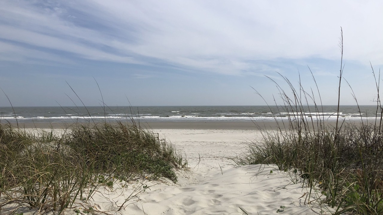 Photo of Others in Isle of Palms