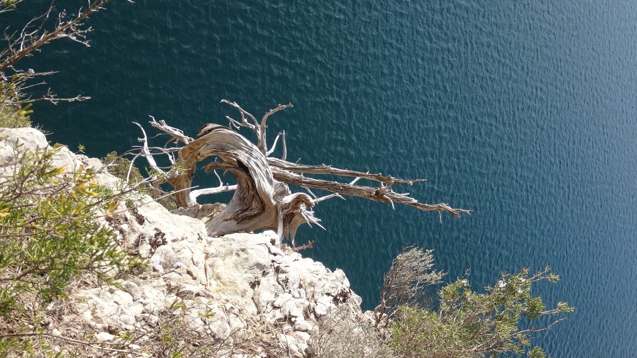 Photo of Others in Esparron-de-Verdon