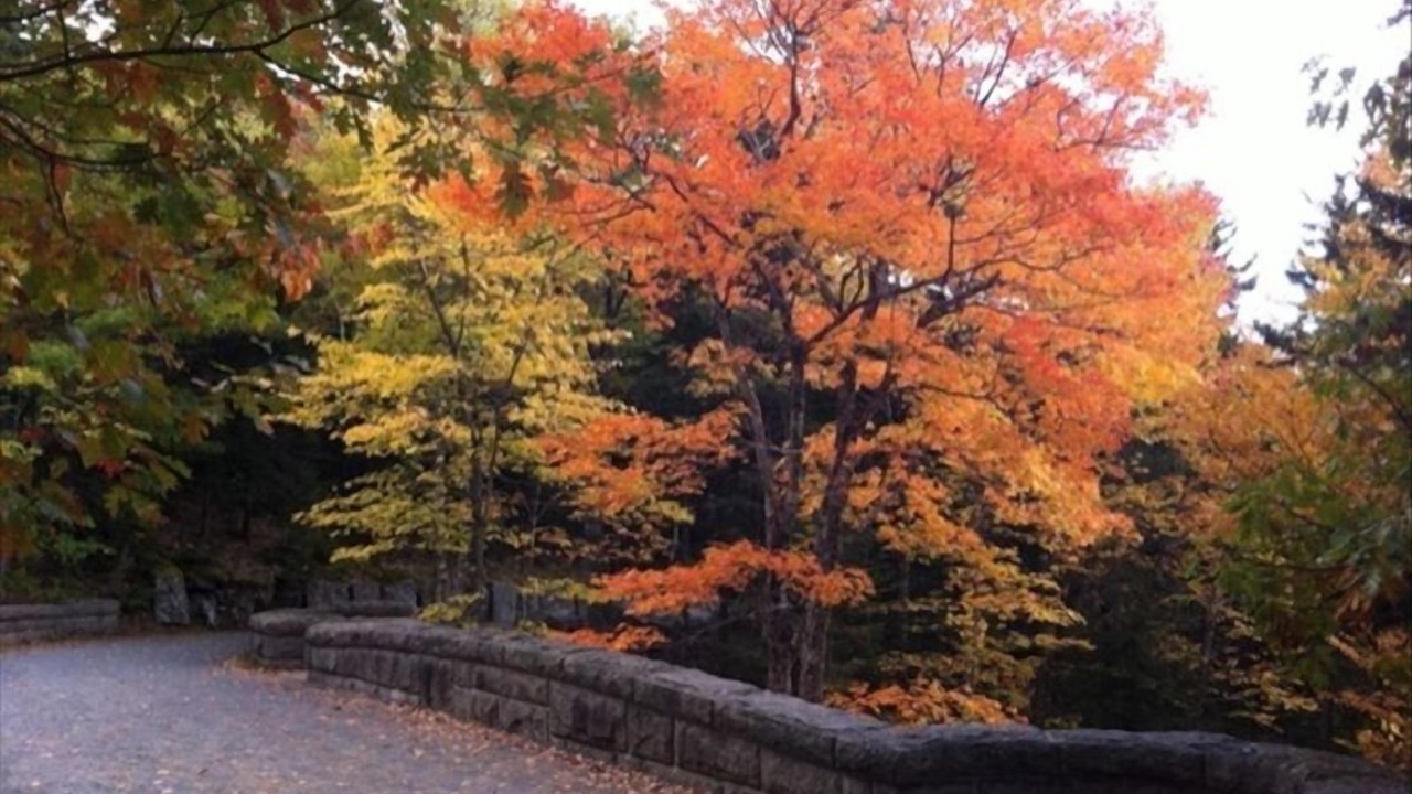 Photo of Outdoor in Mount Desert