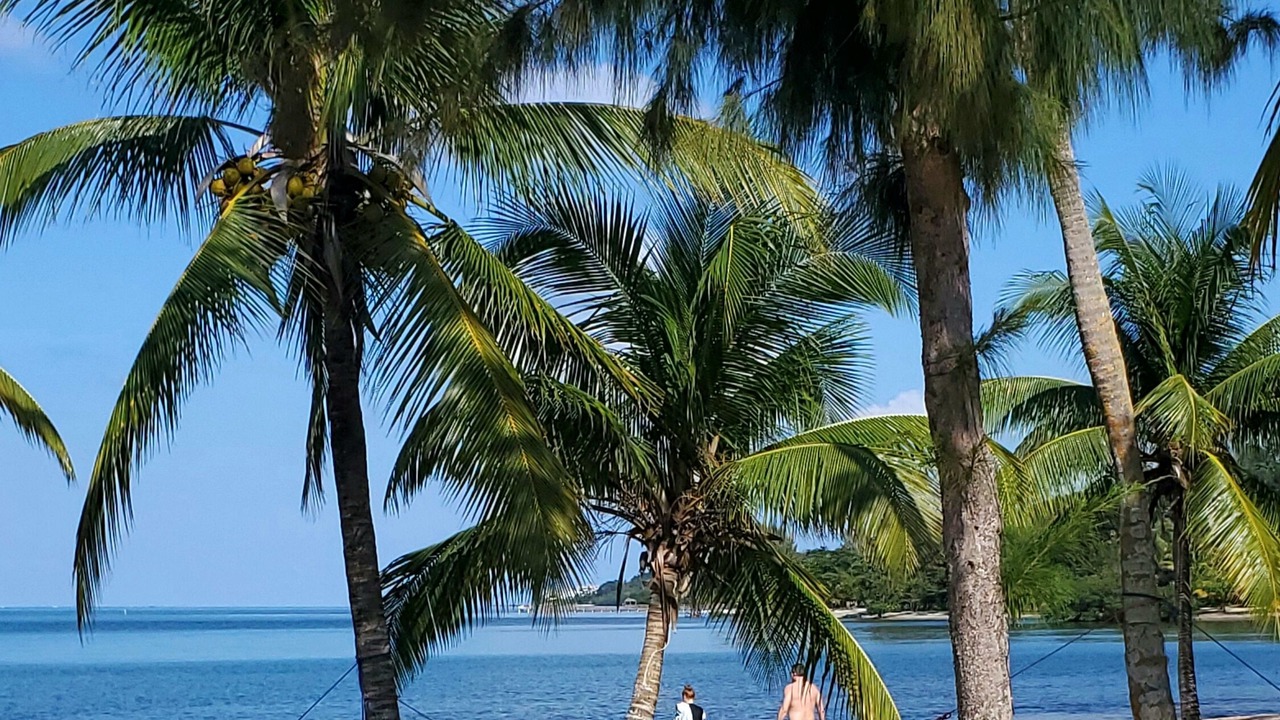 Photo of Others in Palmetto Bay