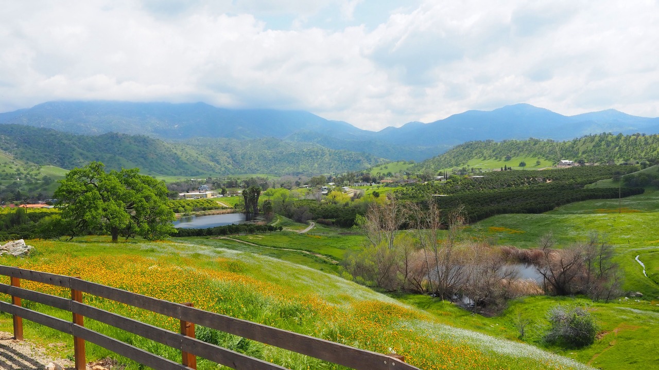 Photo of Outdoor in Springville