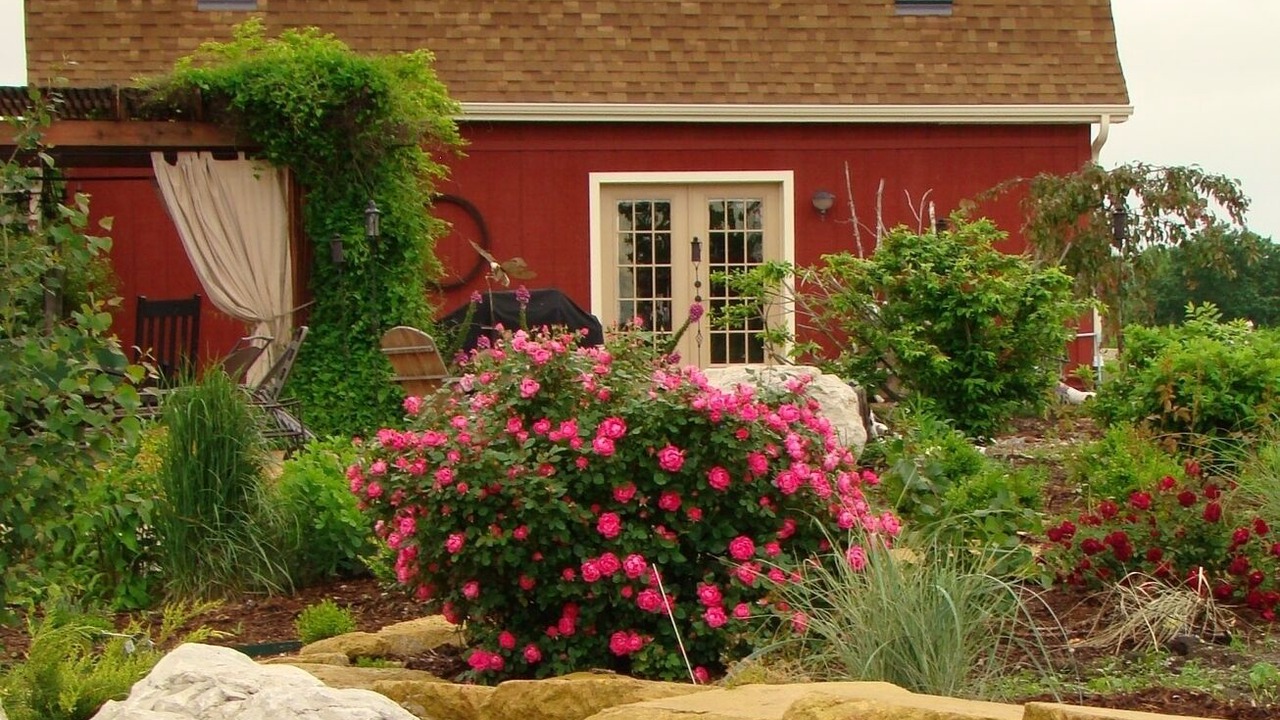 Photo of Outdoor in Squaw