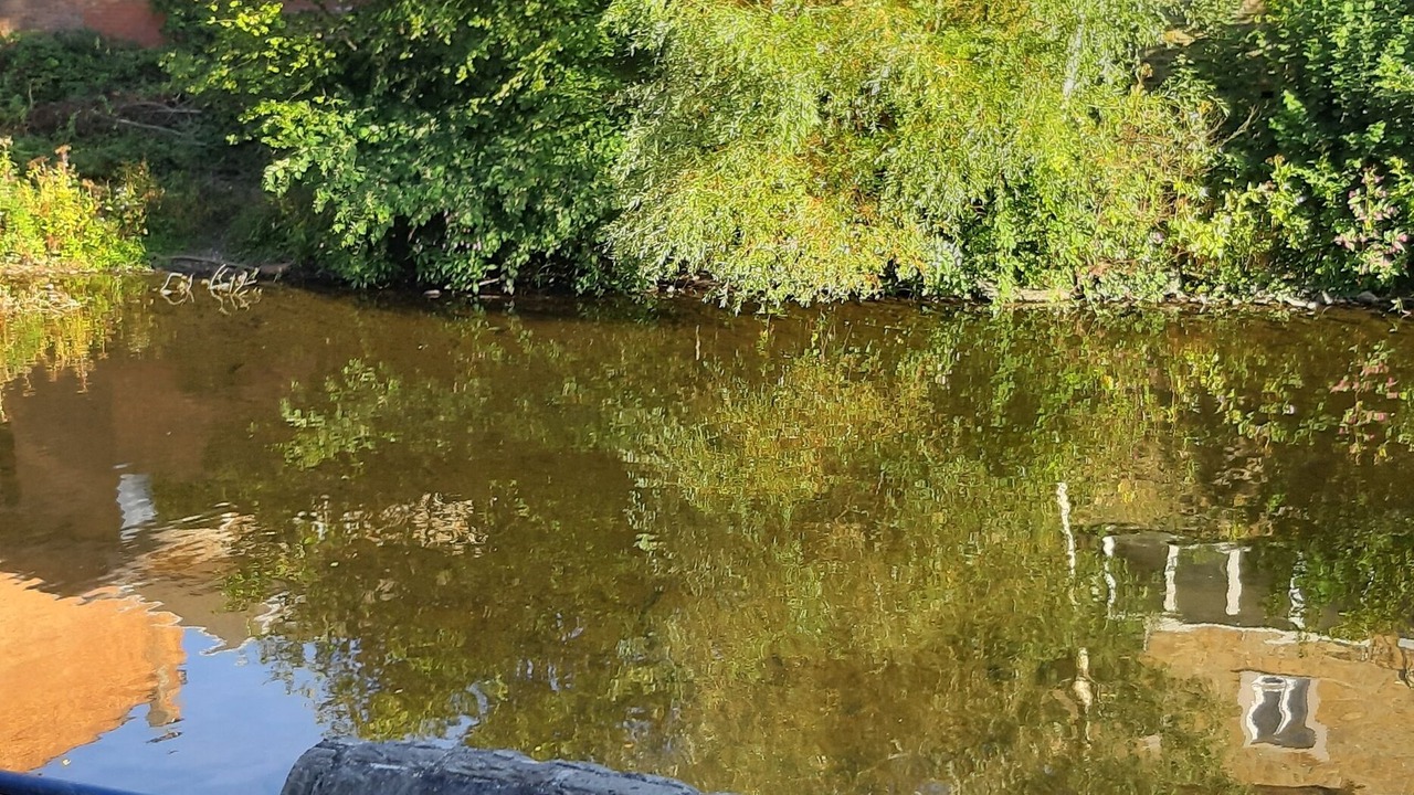 Photo of Outdoor in La Roche-en-Ardenne