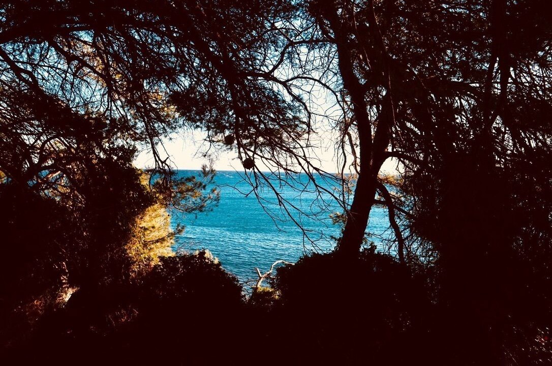 Photo of Others in Cap-d'Antibes