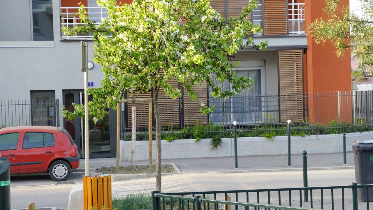 Photo of Outdoor in Annecy