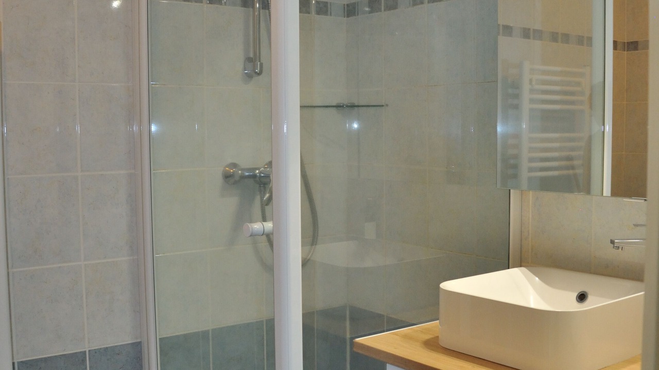Photo of Bathroom in Annecy