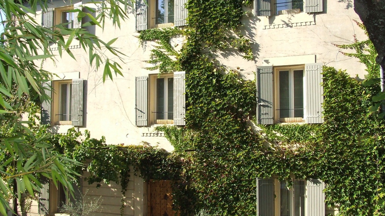 Photo of Outdoor in Goult