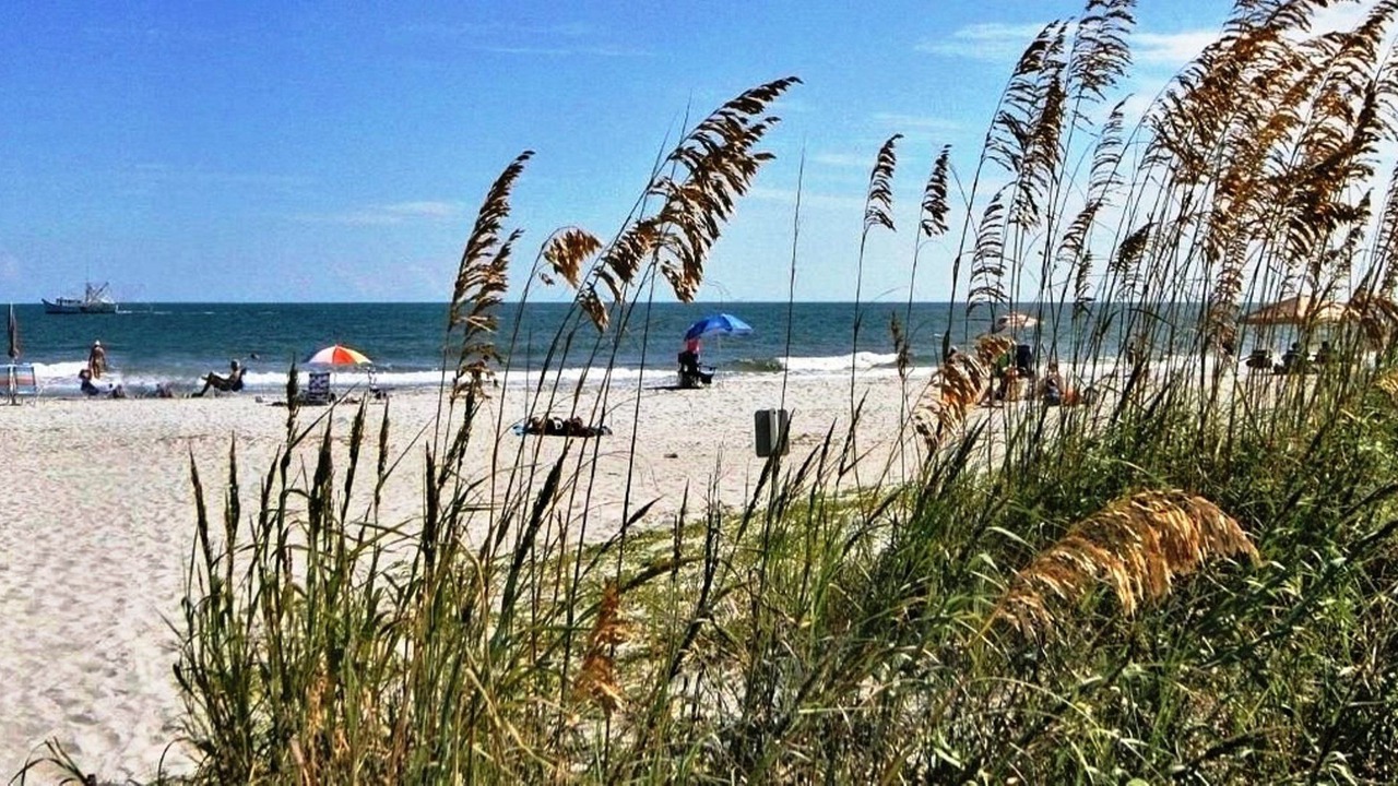 Photo of Others in Sea Pines