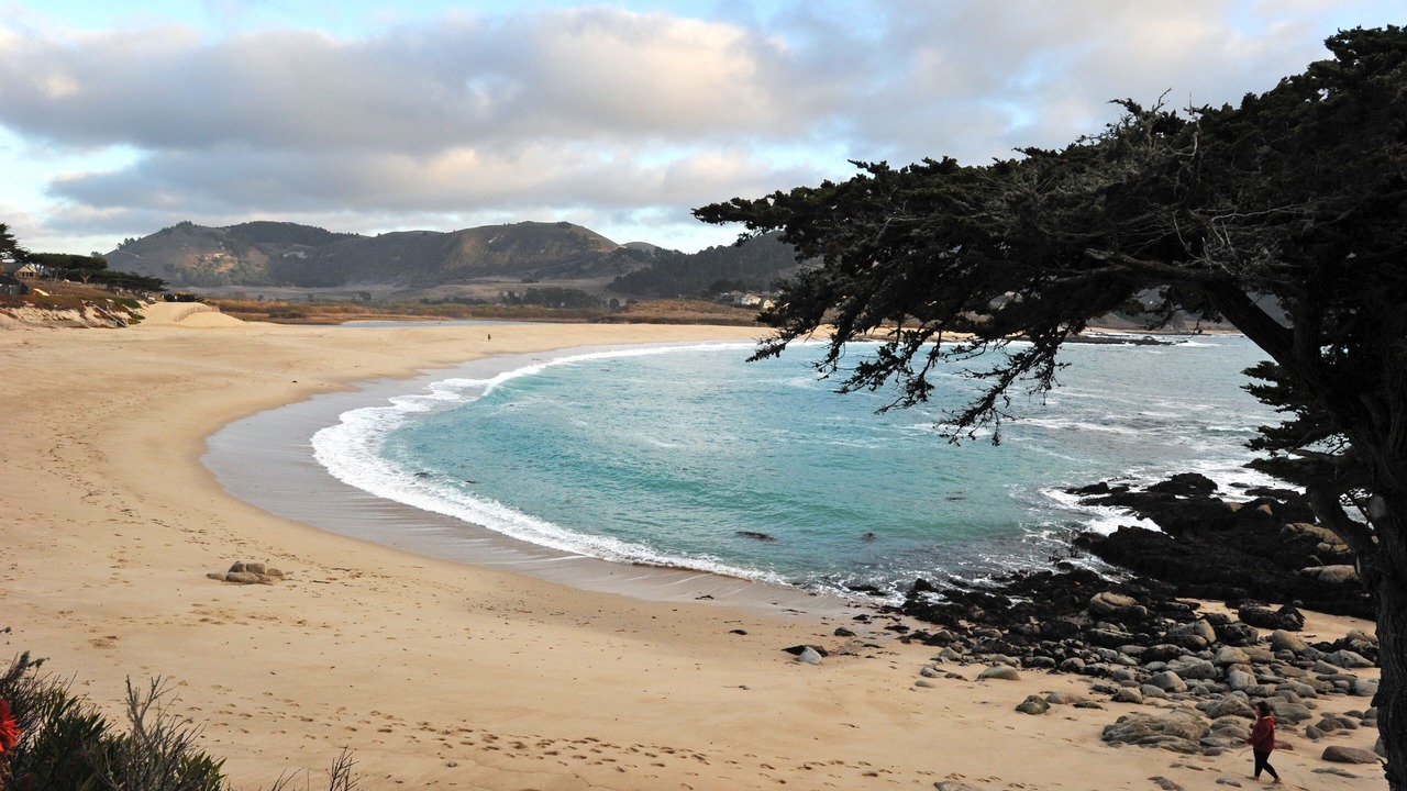 Photo of Others in Carmel Point