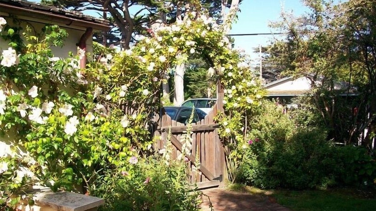 Photo of Others in Carmel Point