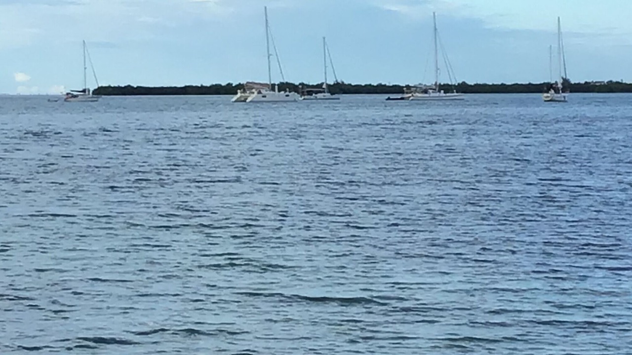 Photo of Others in Caye Caulker
