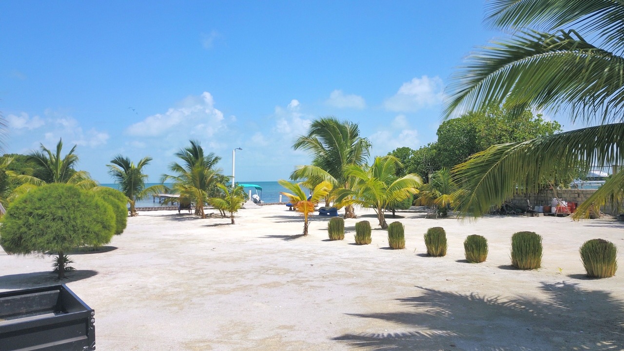 Photo of Outdoor in Caye Caulker