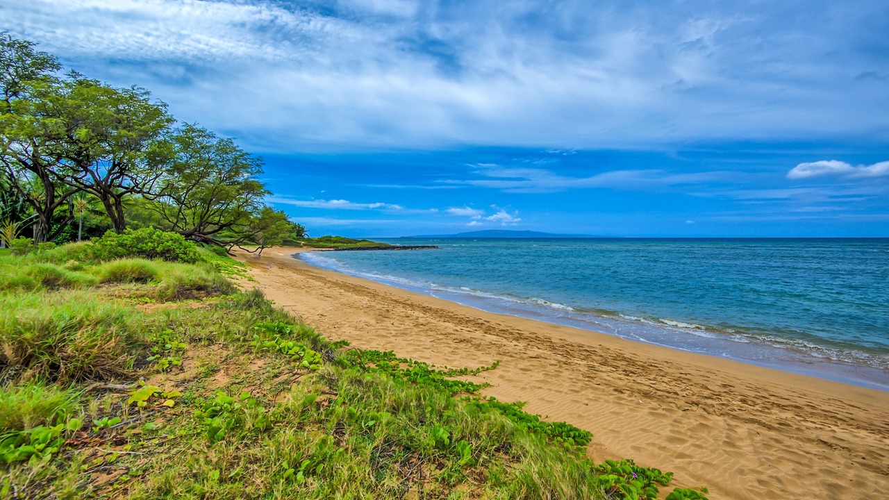 Photo of Others in Kihei
