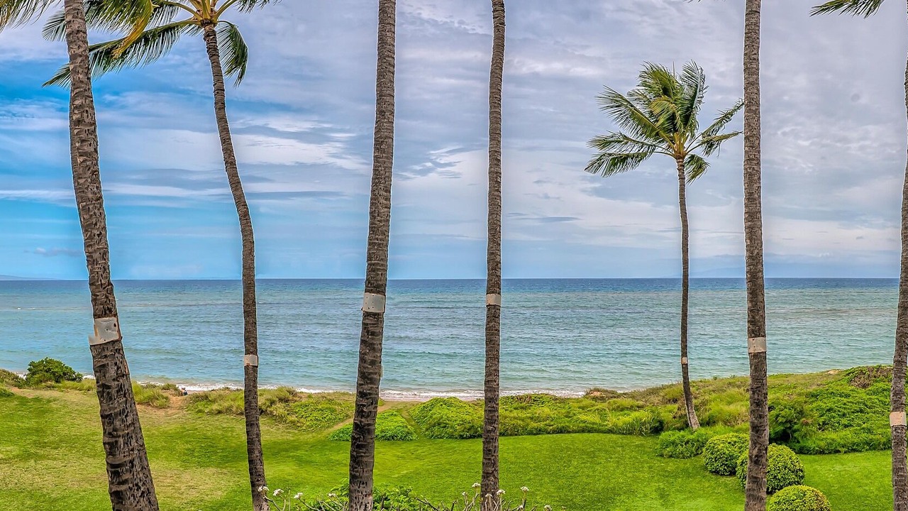 Photo of Others in Kihei