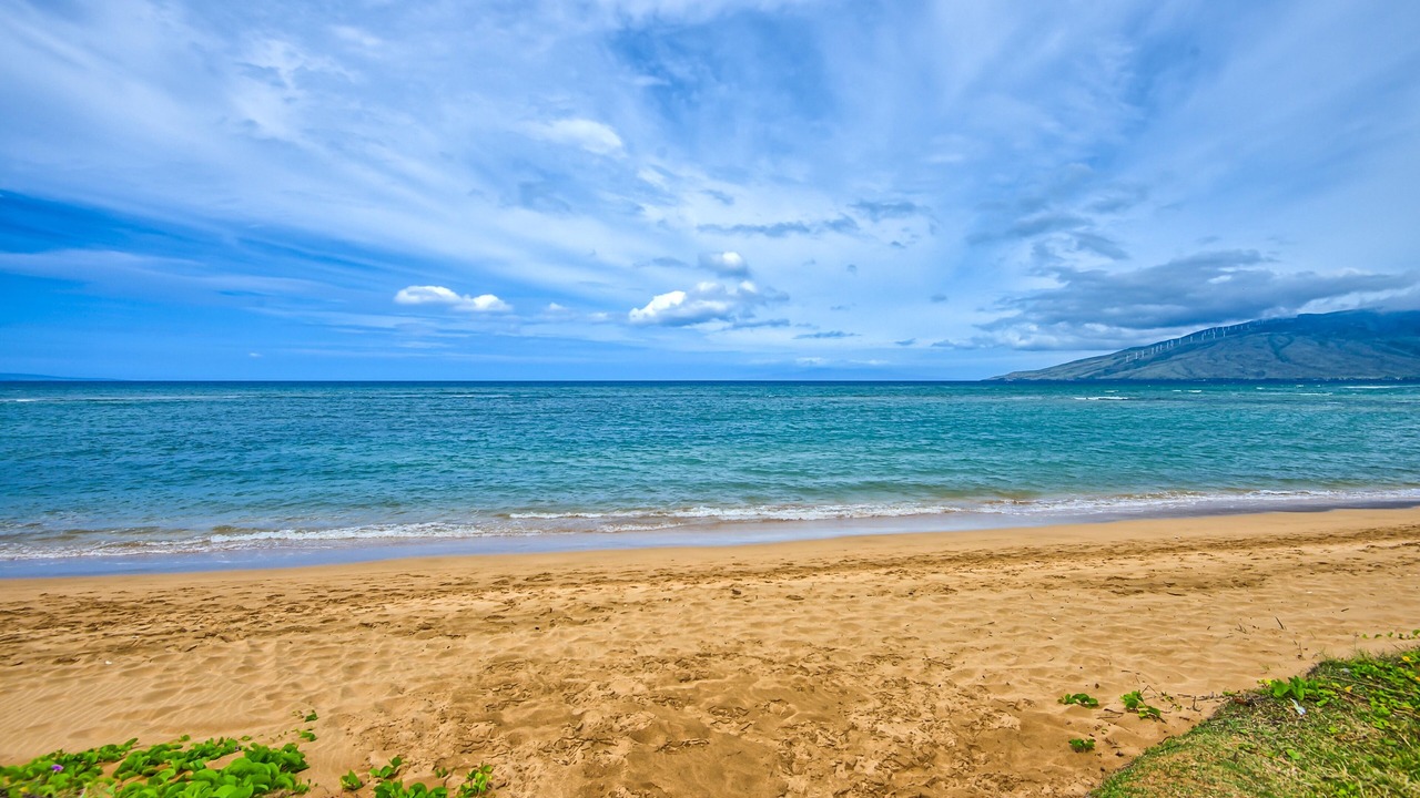 Photo of Others in Kihei