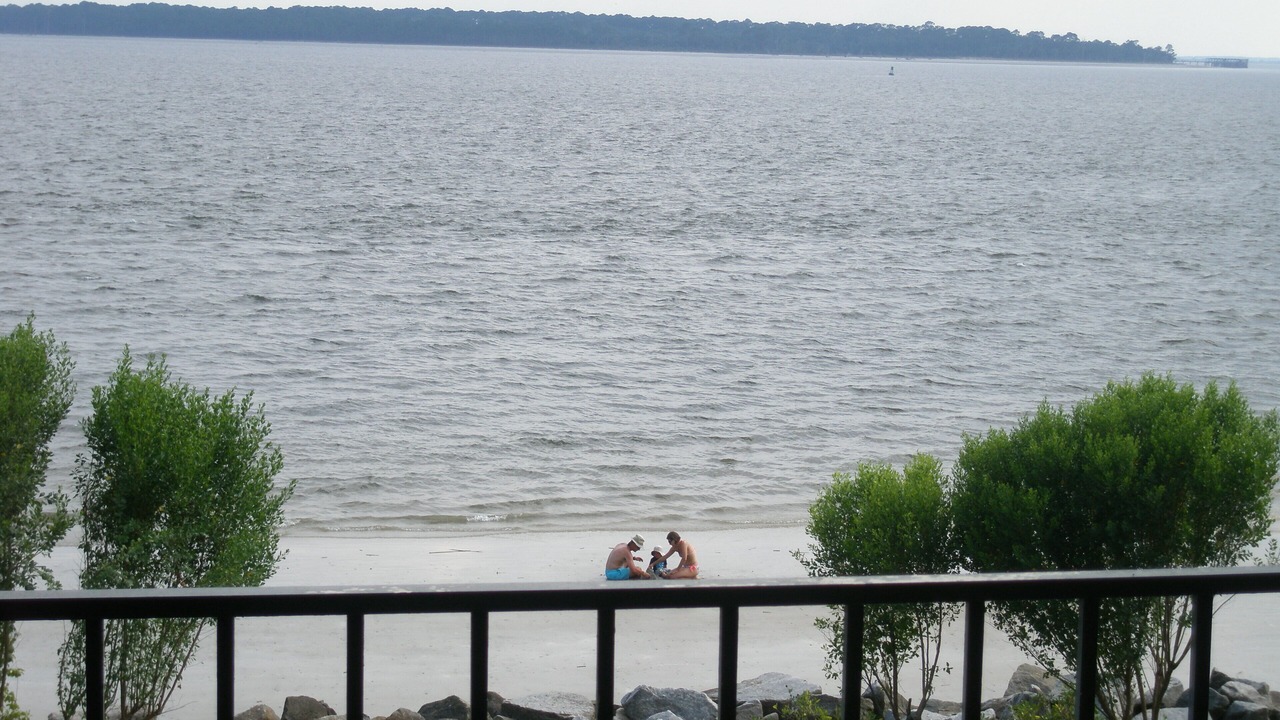 Photo of Others in Saint Simons Island
