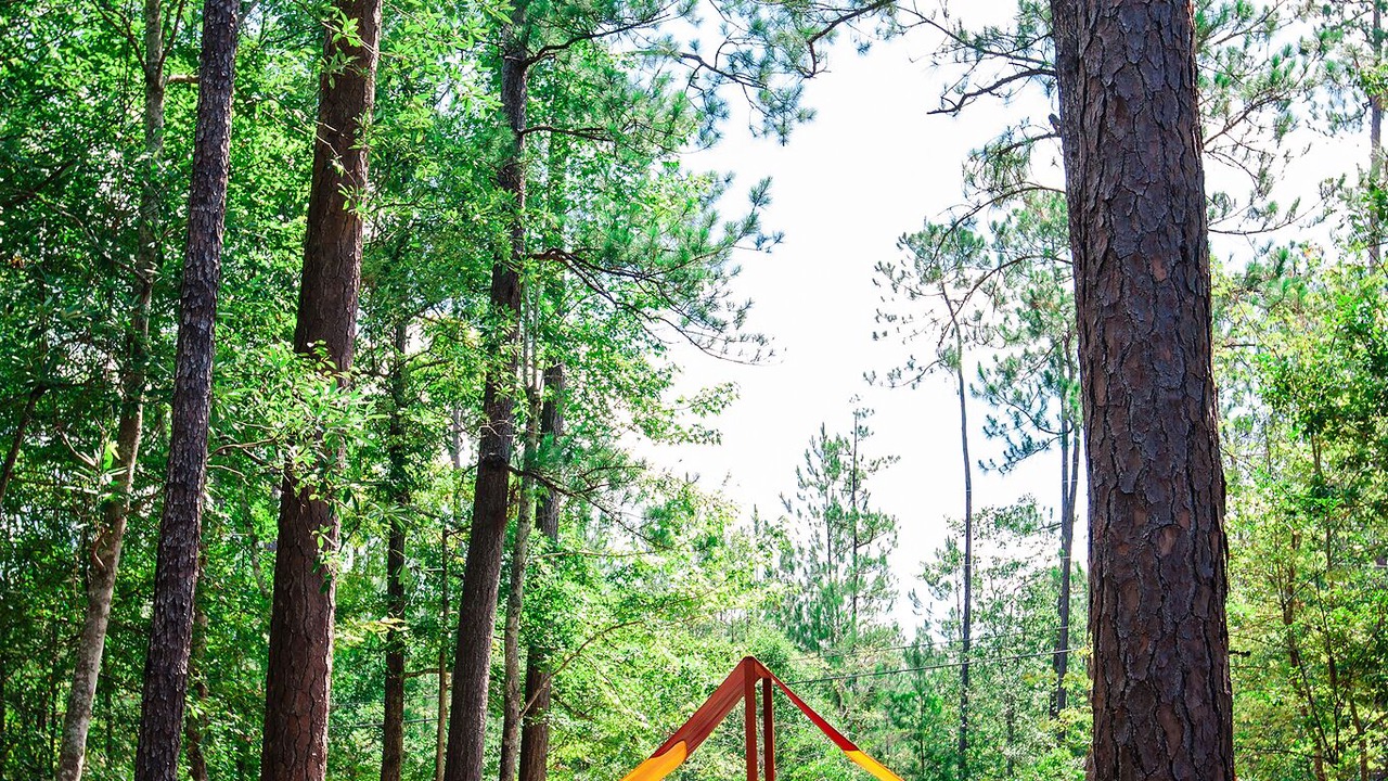 Photo of Others in Abita Springs