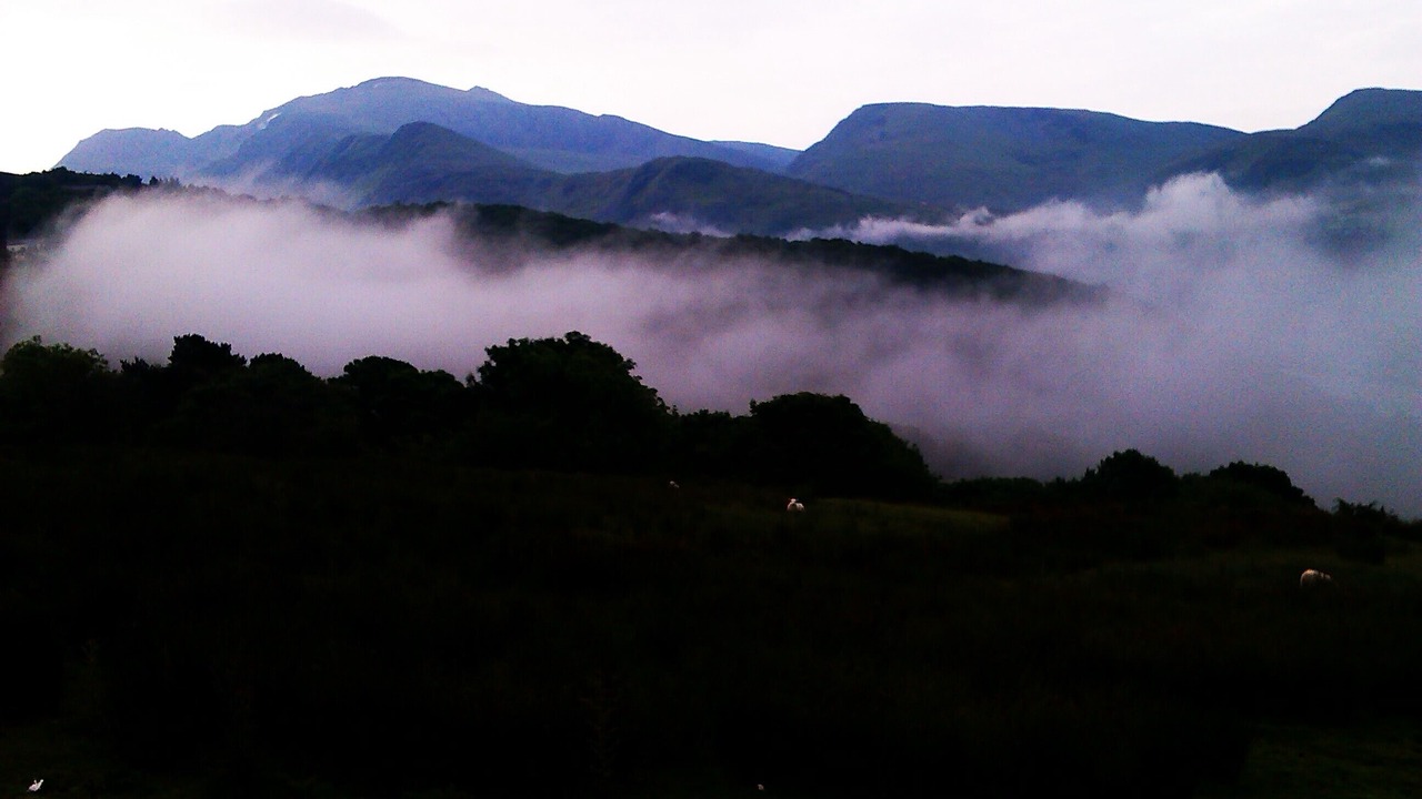Photo of Others in Gallt Y Foel