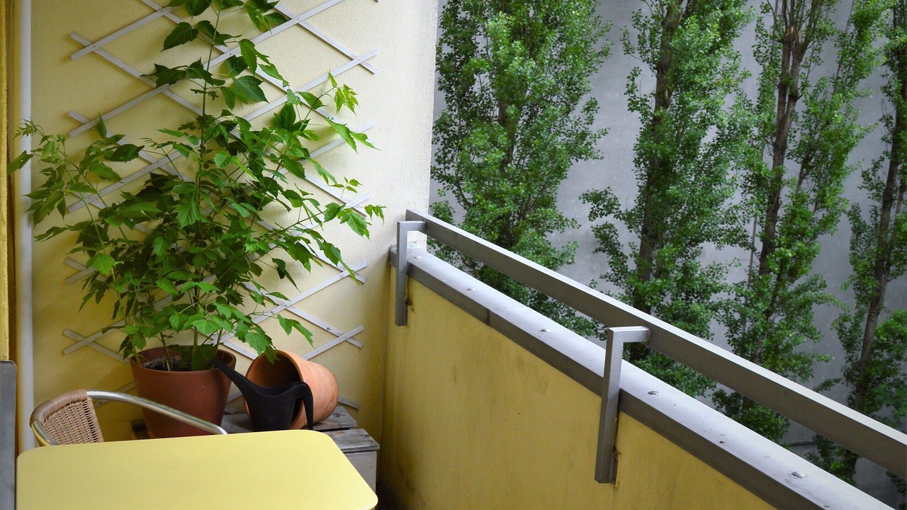 Photo of Outdoor in Schoeneberg