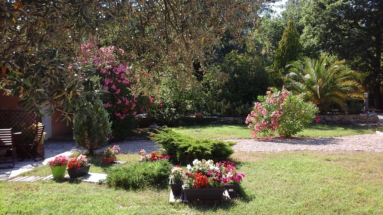 Photo of Outdoor in Saint-Paul-en-Foret