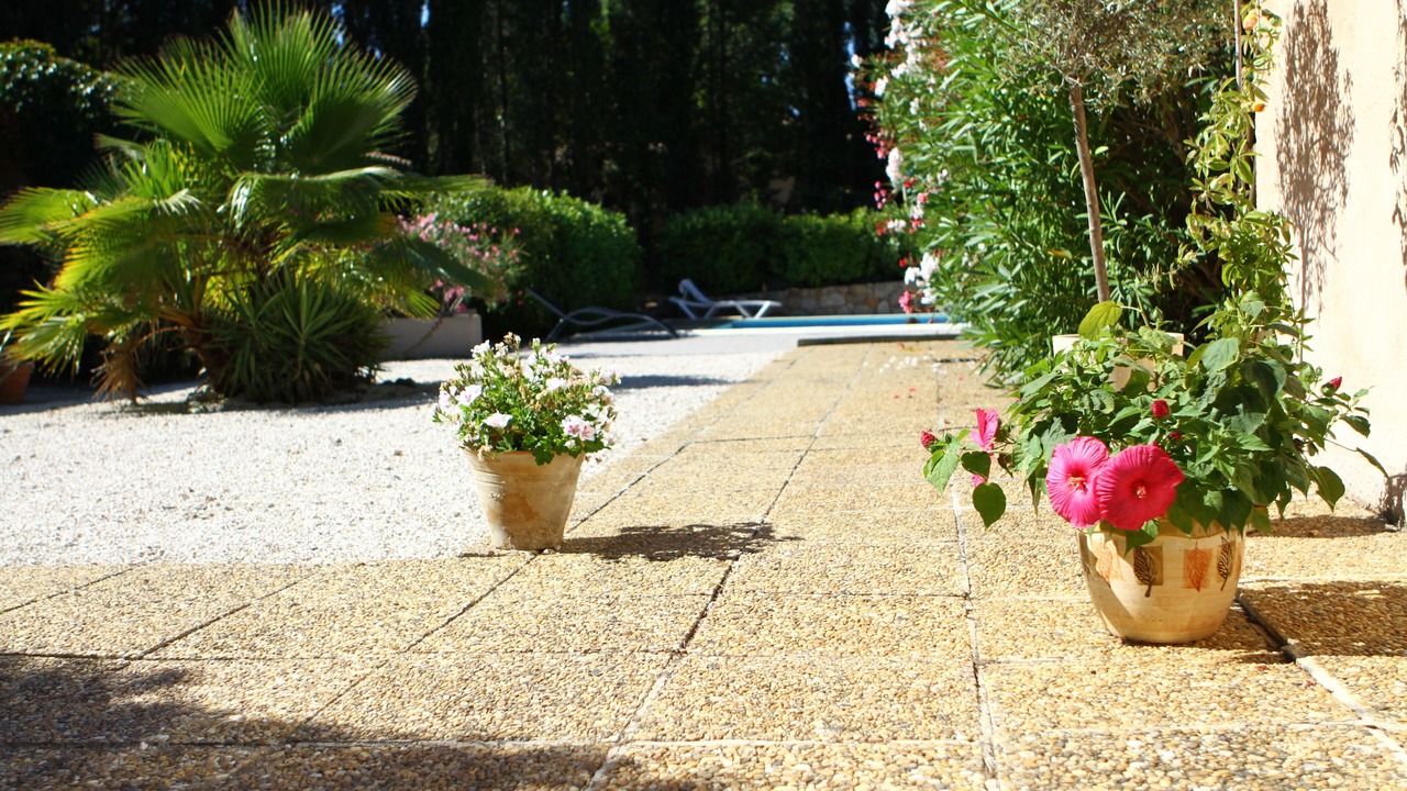 Photo of Outdoor in Saint-Paul-en-Foret