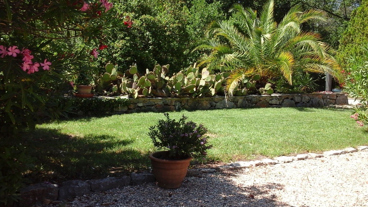 Photo of Outdoor in Saint-Paul-en-Foret