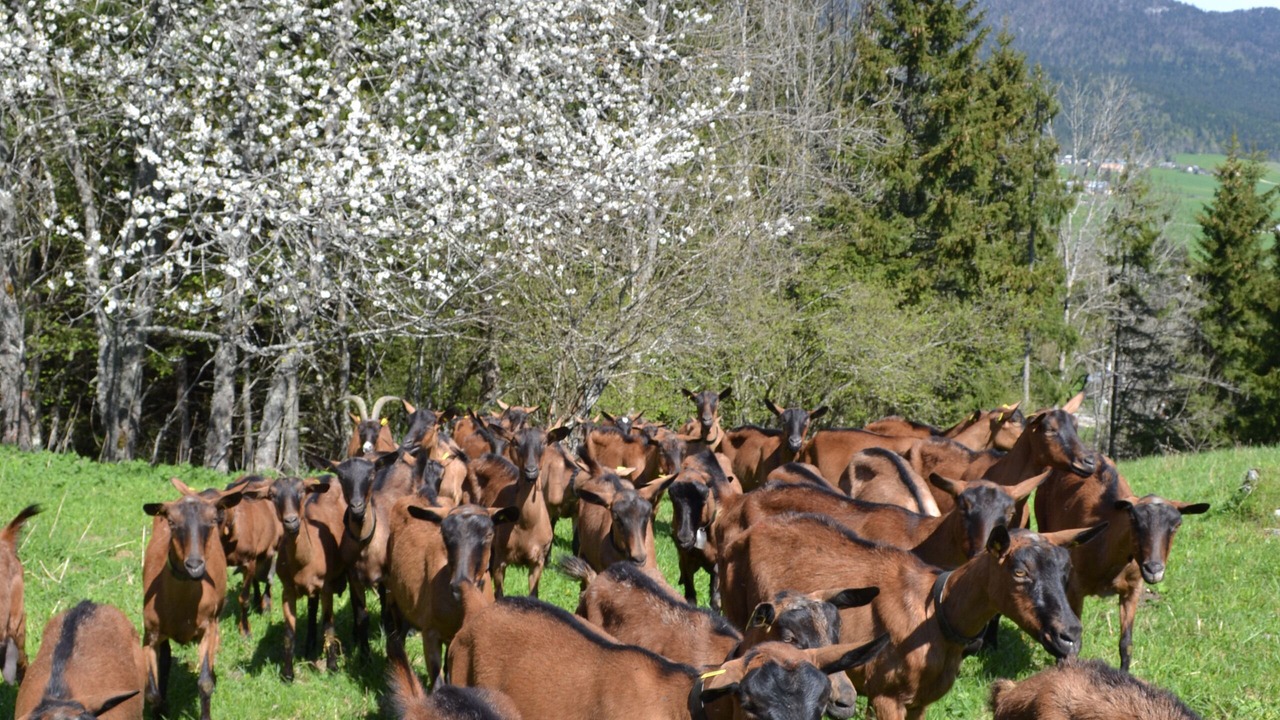 Photo of Outdoor in Meaudre