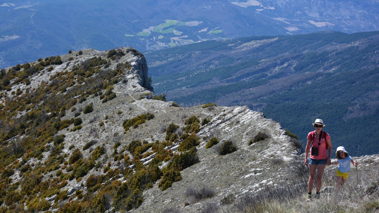 Photo of Others in Pommerol