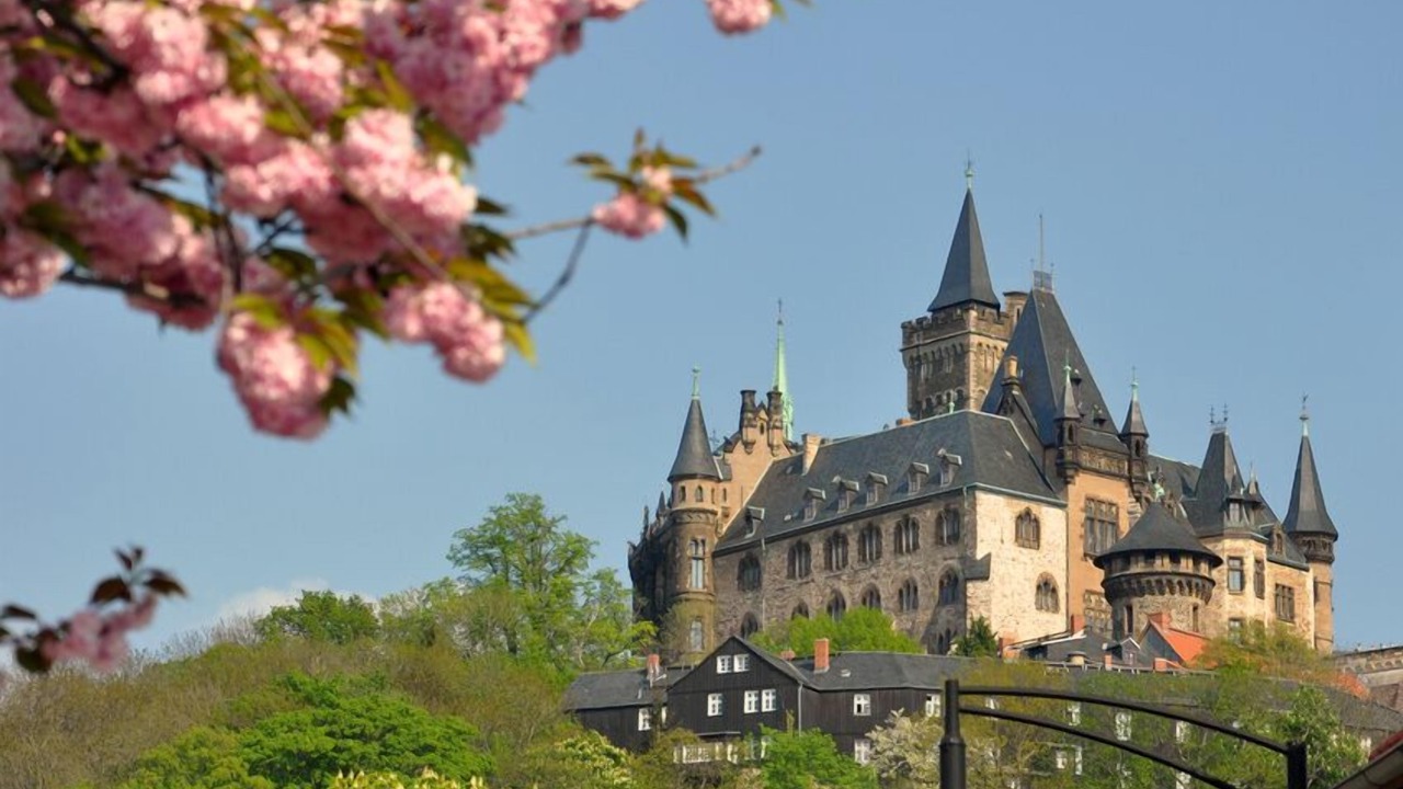 Photo of Others in Wernigerode