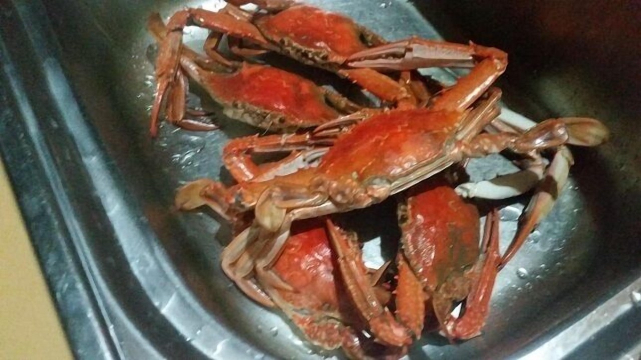 Photo of Others in Mandurah