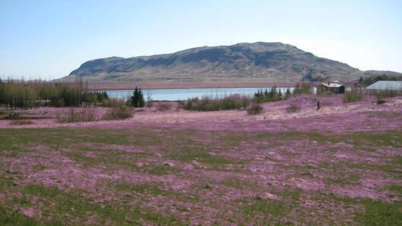 Photo of Outdoor in Laugaras