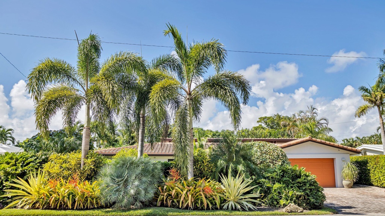 Photo of Outdoor in Dolphin Isles