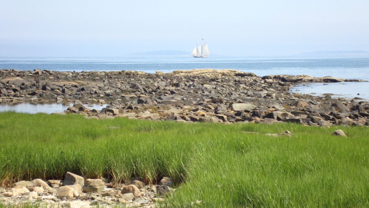 Photo of Others in Bass Harbor