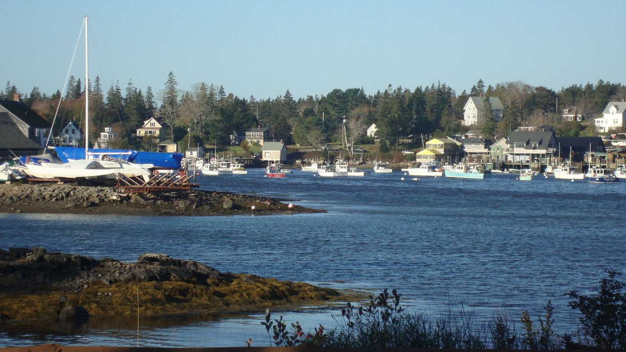 Photo of Others in Bass Harbor