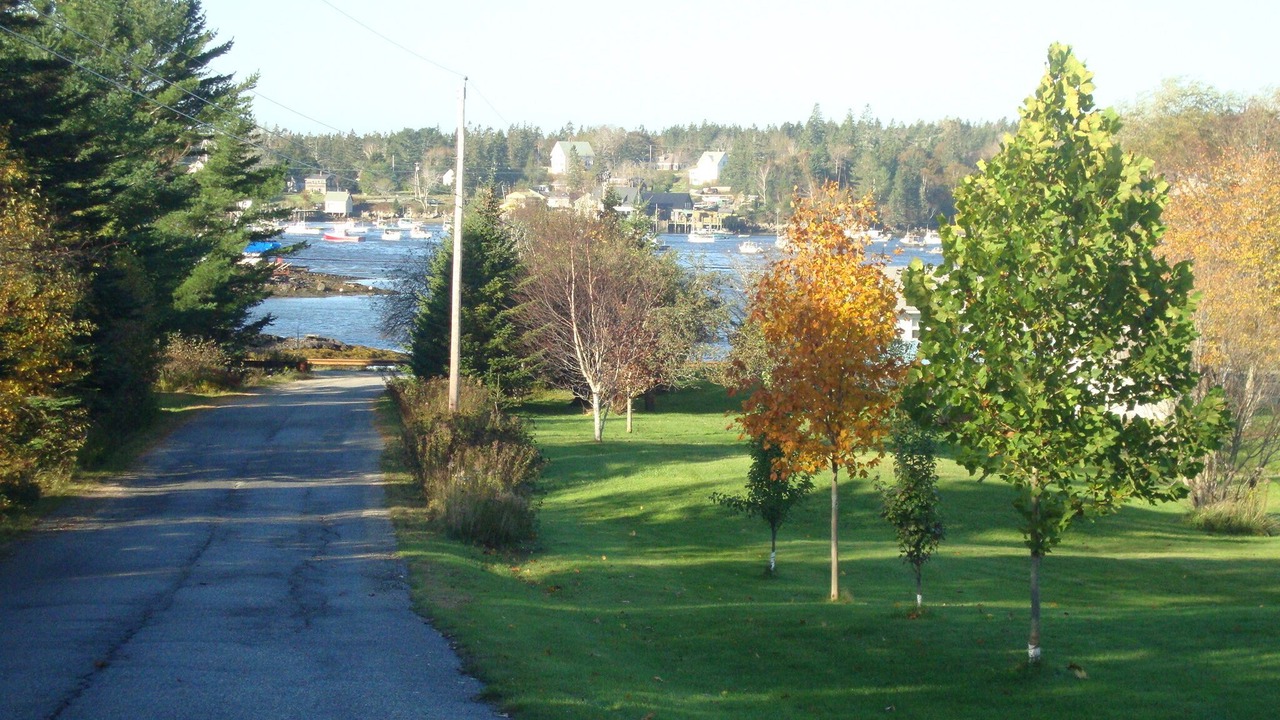 Photo of Others in Bass Harbor