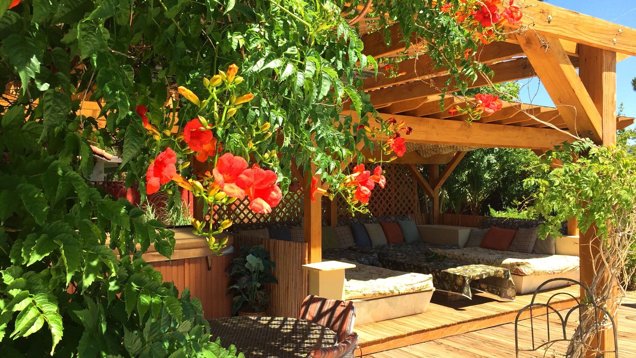 Photo of Patio Balcony in Paradise