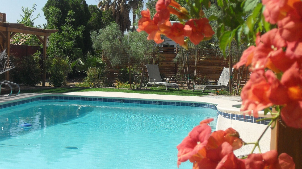 Photo of Outdoor in Paradise