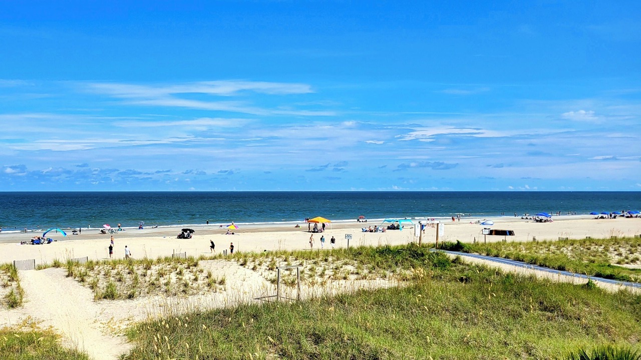 Photo of Others in Tybee Island