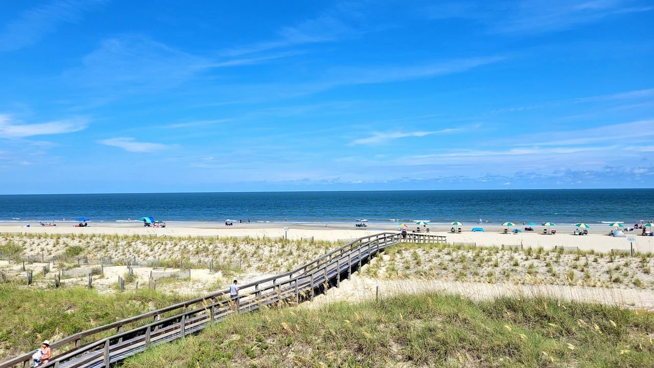 Photo of Others in Tybee Island