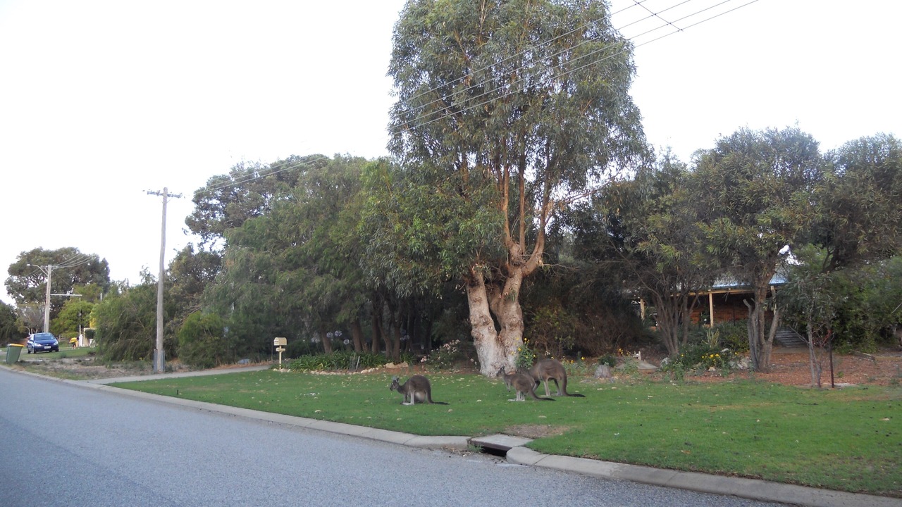 Photo of Others in Dawesville