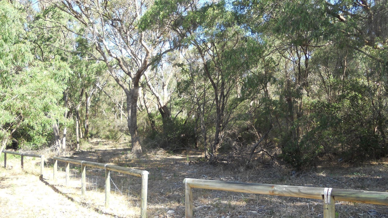 Photo of Others in Dawesville
