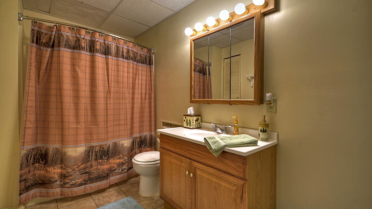 Photo of Bathroom in Ellijay