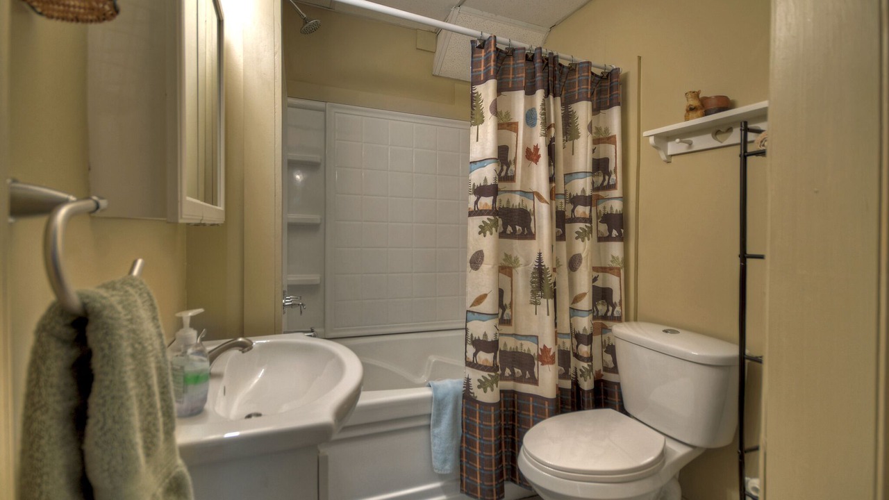 Photo of Bathroom in Ellijay