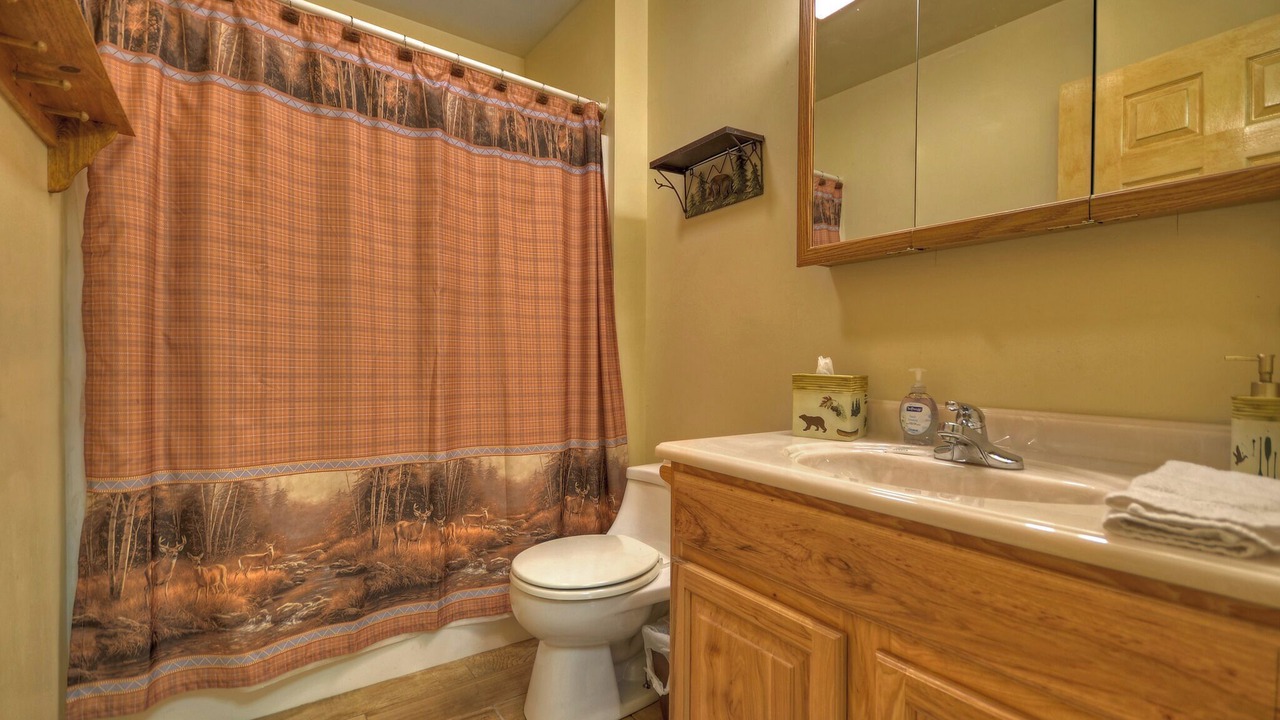 Photo of Bathroom in Ellijay