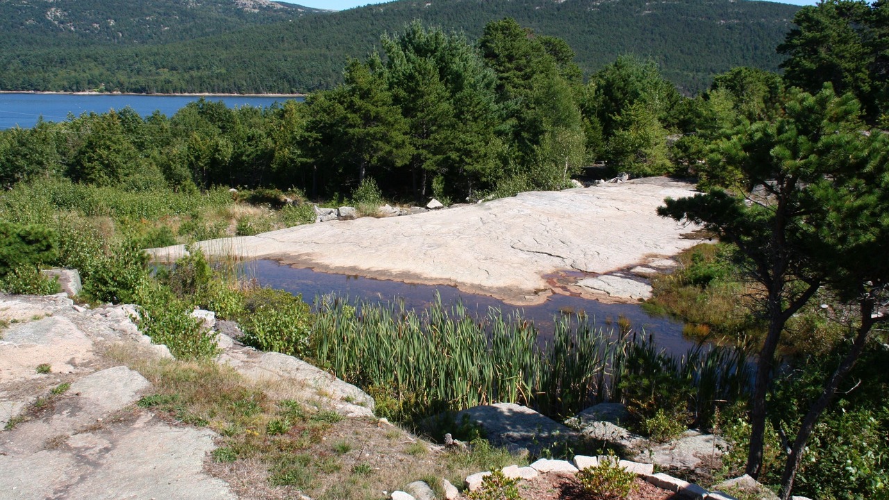 Photo of Others in Hall Quarry
