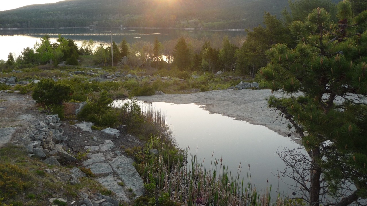 Photo of Others in Hall Quarry
