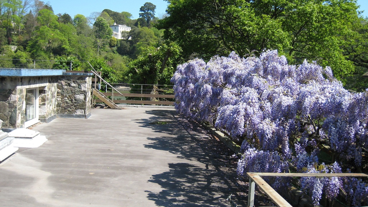 Photo of Outdoor in Dartmouth